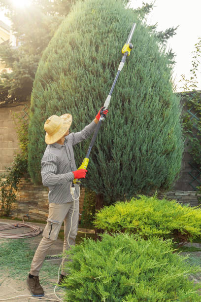  Port Hadlock Irondale, WA Tree Removal and Landscaping Services Pros